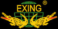  EXING