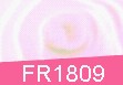 FR1809